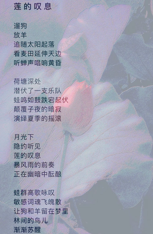 psc (2)_副本.jpg