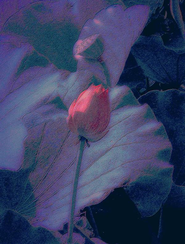 psb (7)_副本.jpg