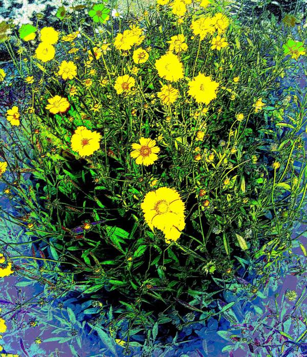 psb (15)_副本.jpg