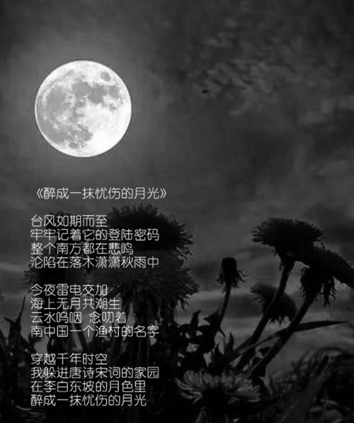 psc (1)_副本月光.jpg
