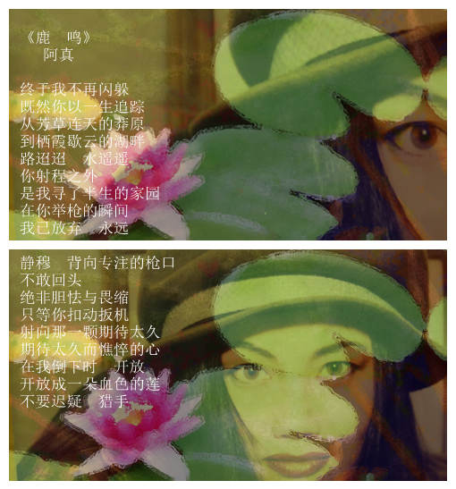 1照片 031_副本.jpg