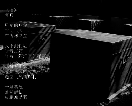 DSC05032_爱奇艺_副本.jpg