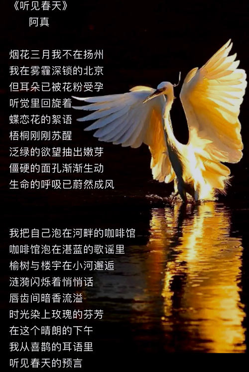 psc (68)_副本.jpg